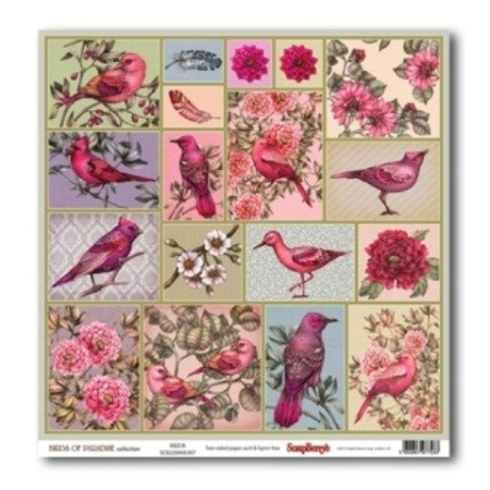 Papier do scrapbookingu dwustronny 30,5 x 30,5 cm BIRDS OF PARADISE 9 szt. ScrapBerry`s